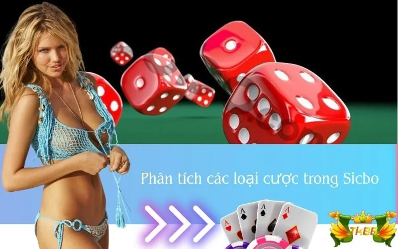 Phân tích các loại cược trong Sicbo